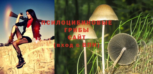 ГАЛЛЮЦИНОГЕННЫЕ ГРИБЫ Лиски